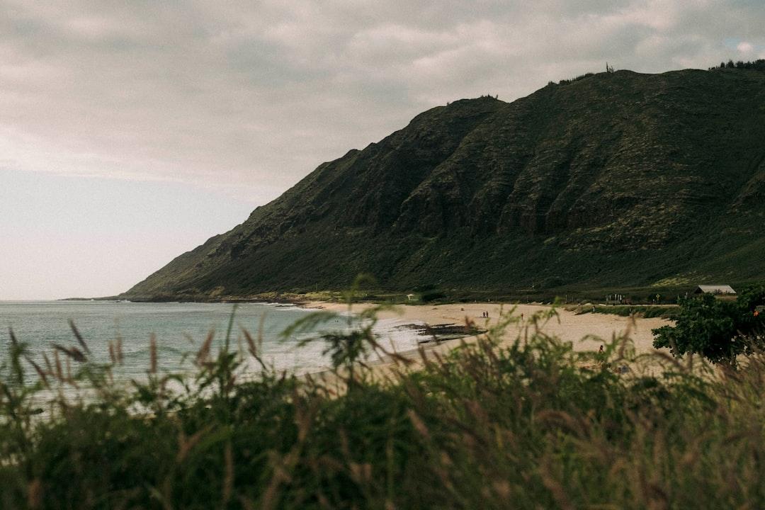 a beach with a hill in the background