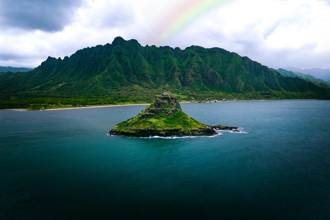 Green island with a rainbow over a calm ocean.