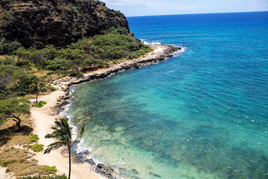 An aerial view of a beach with a mountain in the background