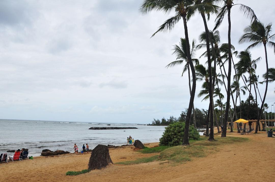 person sitting on brown sand near body of water during daytime