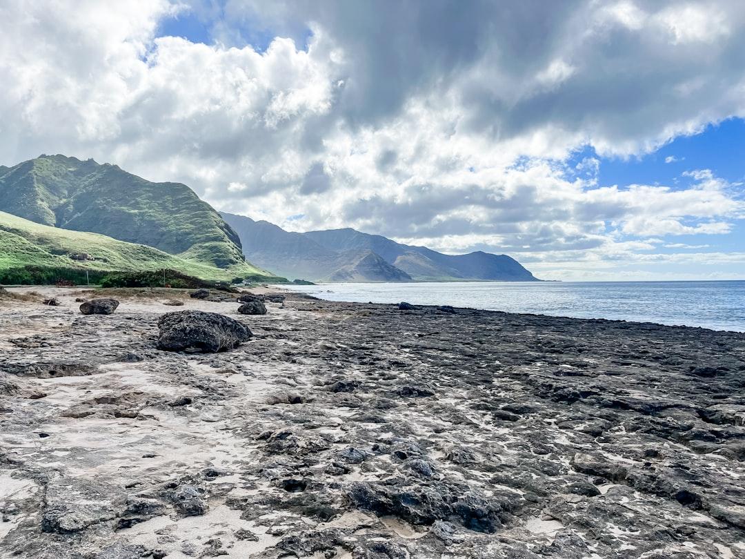 Rocky coastline with green mountains and cloudy sky.