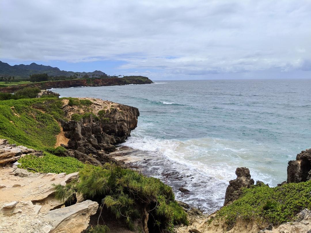 brown rocky shore near body of water during daytime