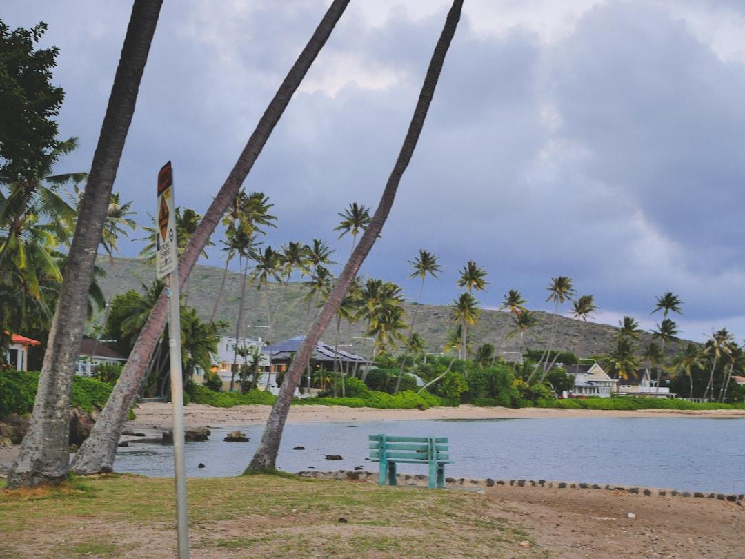 a green bench sitting next to a lake surrounded by palm trees